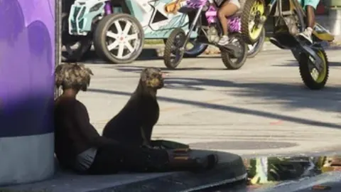 Gros plan sur un chien noir assis contre une personne au pied d’un pilier, sous le viaduc de Vice City, recadrage d’une capture officielle