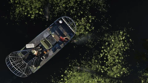 Les animaux de GTA VI, capture officielle Rockstar Games