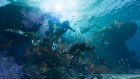 Plongeur au-dessus d’un récif corallien avec une tortue de mer, dans les Leonida Keys (capture officielle)