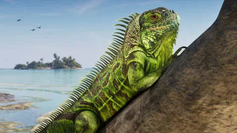 Iguane vert en gros plan, agrippé à un tronc au bord de l’eau, un îlot de palmiers au loin dans les Leonida Keys, capture officielle Rockstar Games