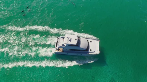 Catamaran blanc vu du ciel sur une eau turquoise, des dauphins dans son sillage, photogramme du Trailer 1