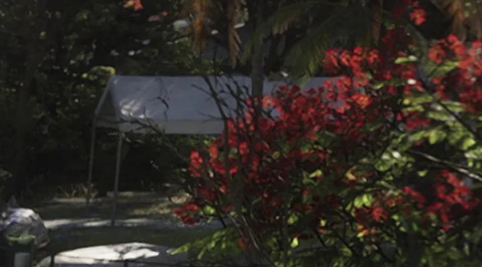 Capture officielle de GTA VI : 13 Norwood Ave