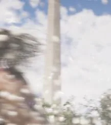 Capture officielle de GTA VI : Flagler Memorial Monument