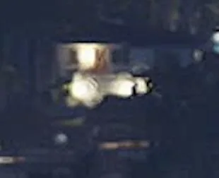 Offizieller Screenshot aus GTA VI: 302 W San Marino Dr