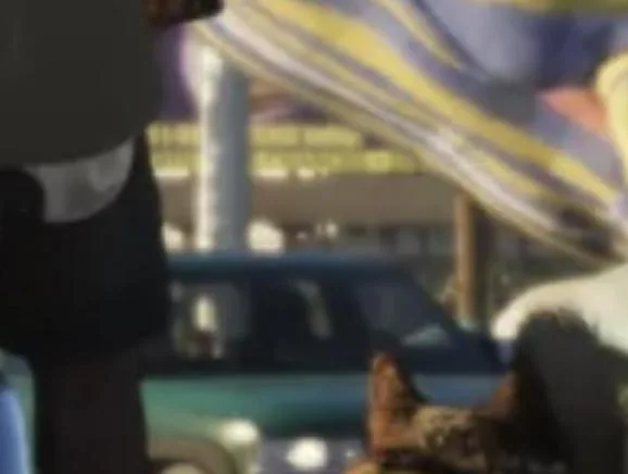 Capture officielle de GTA VI : Bâtiment L1398