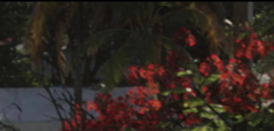 Screenshot ufficiale di GTA VI: Edificio L1517