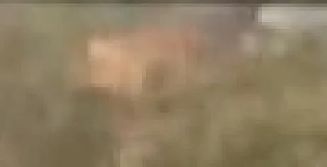Capture officielle de GTA VI : Bâtiment L1533