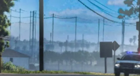 Capture officielle de GTA VI : CACTI Park of the Palm Beaches