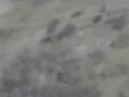 Capture officielle de GTA VI : Bâtiment L2057