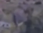 Capture officielle de GTA VI : Bâtiment L2267