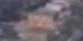 Capture officielle de GTA VI : Bâtiment L2304