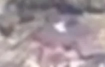 Capture officielle de GTA VI : Bâtiment L2374
