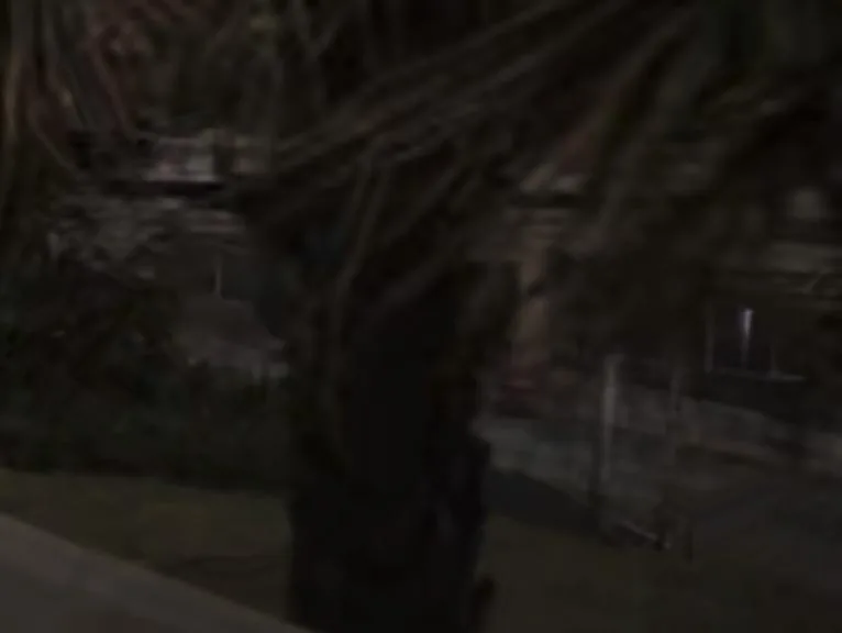 Capture officielle de GTA VI : Bâtiment L2449