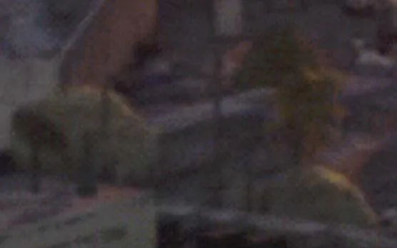 Offizieller Screenshot aus GTA VI: 2101 NW 34th Ave