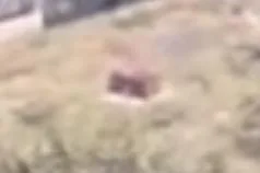 Capture officielle de GTA VI : Bâtiment L2581