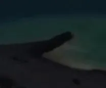 Capture officielle de GTA VI : Bâtiment L2746