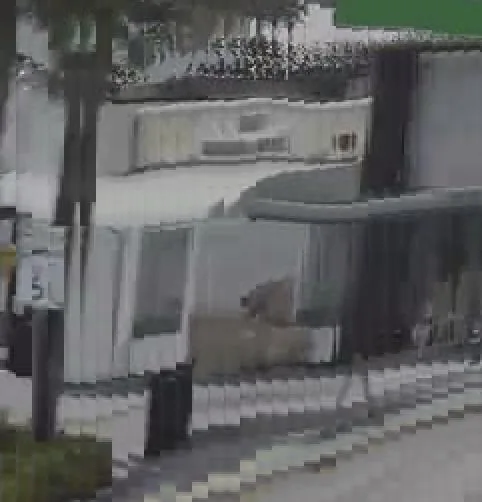 Capture officielle de GTA VI : 140 N Krome Ave