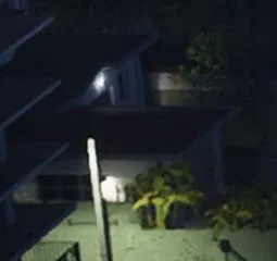 Capture officielle de GTA VI : 1315 N Venetian Way