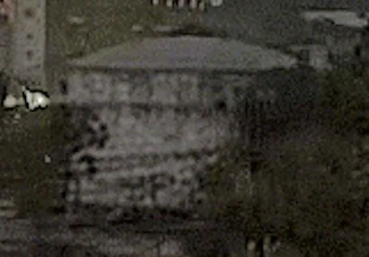 Screenshot ufficiale di GTA VI: Water Tank